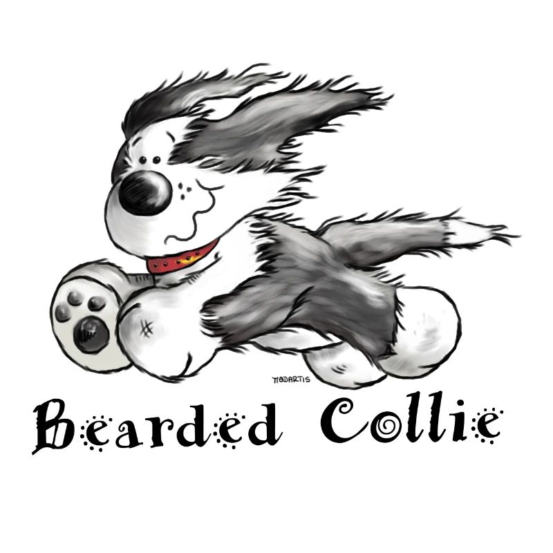Bearded Collie