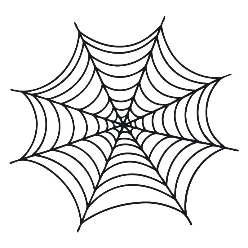 Black Minimalist Spider Web