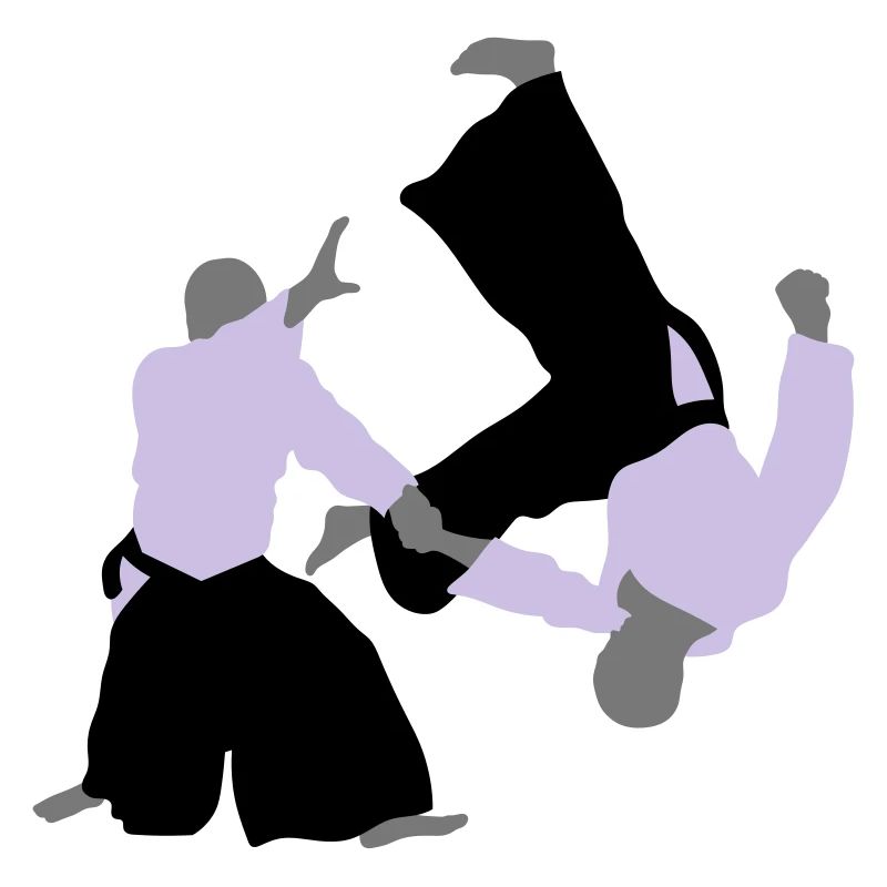 aikido
