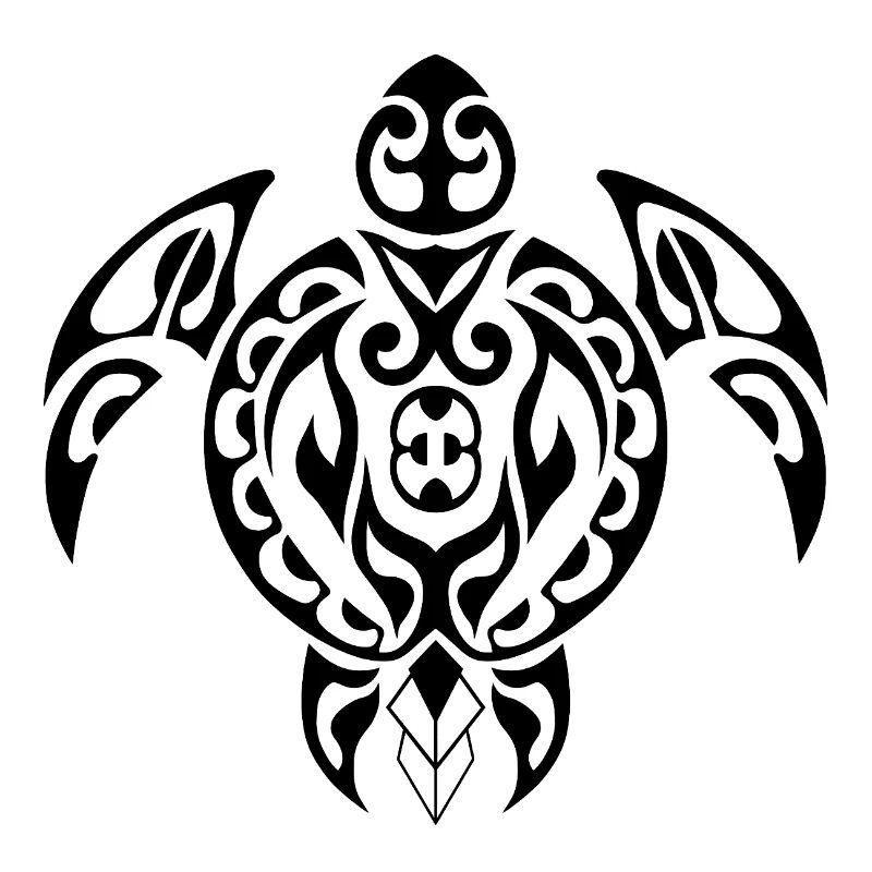 Turtle-3-Black
