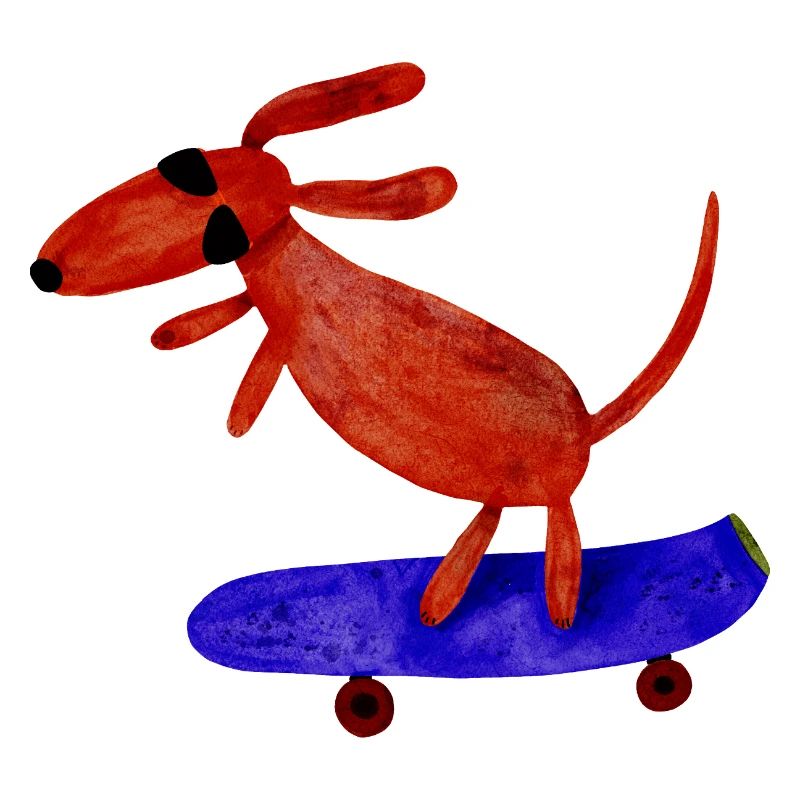 Teckel sur skateboard