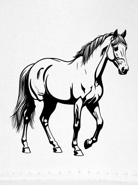 Pferd