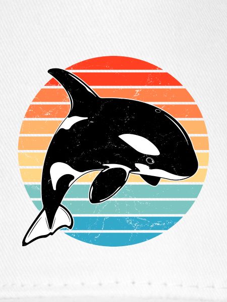 Orca Retro