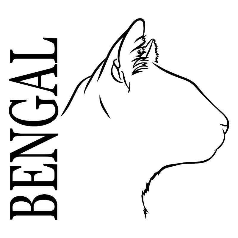 Bengal Profil Chats Chat Wilsigns