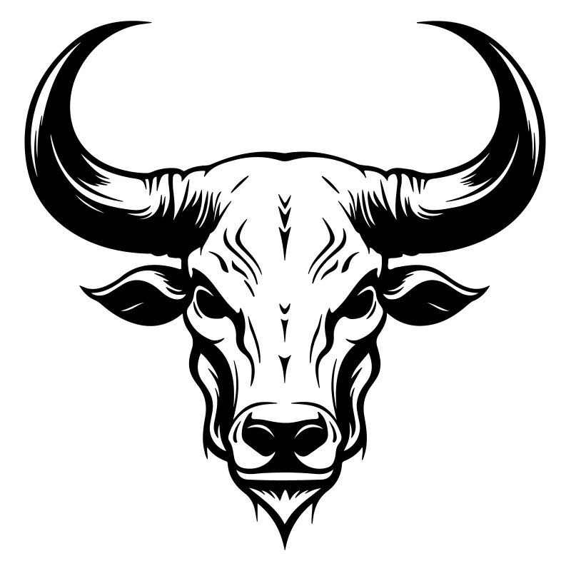 Bulle Tier Kopf Skelett Stier