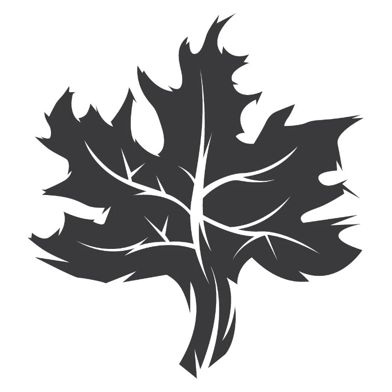 Maple Leaf Illustration Nature Forest Icône graphique