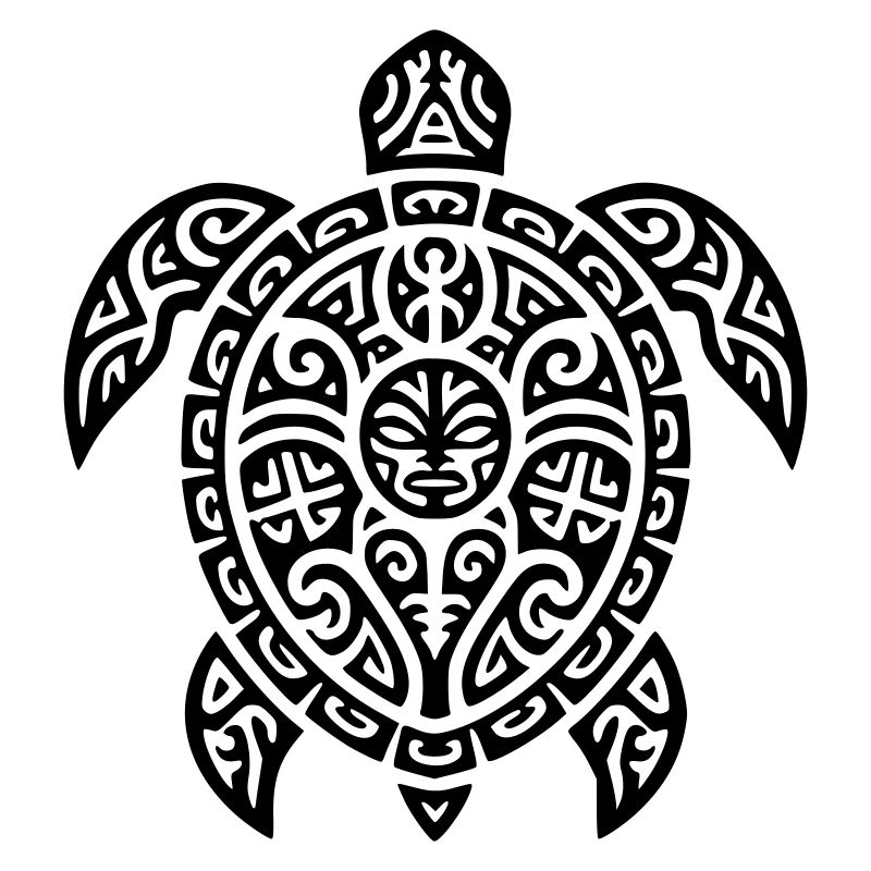 tortoise