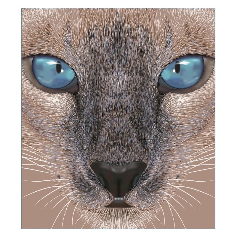 Siamkatze