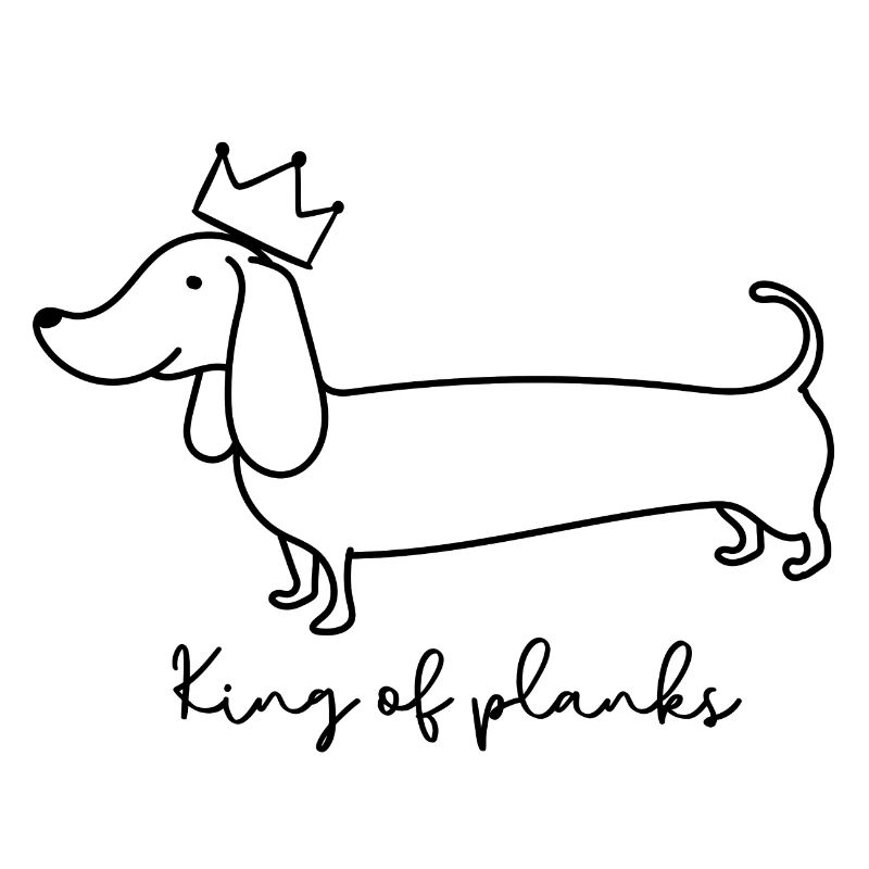 Roi des planches