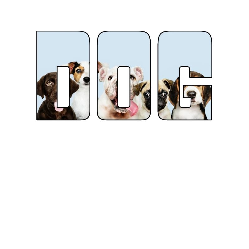 Chien