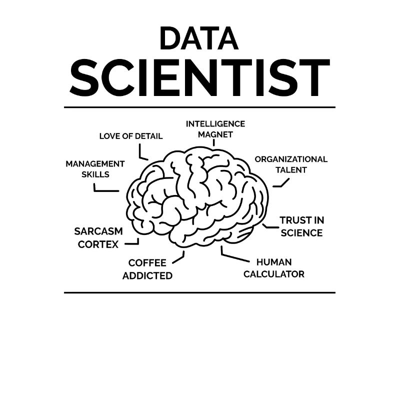 Data Analyst
