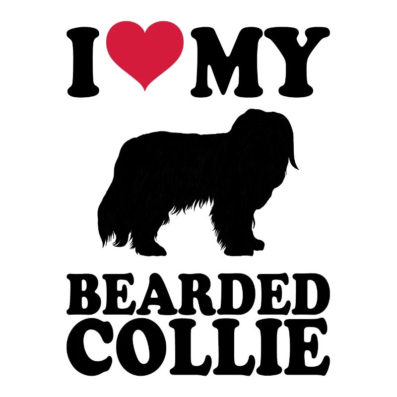 Bearded Collie