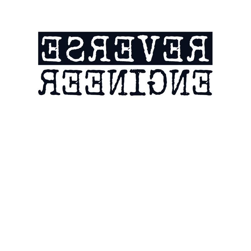 Reverse Engineer Softwareingenieur Developer