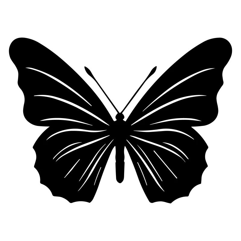 Petit papillon