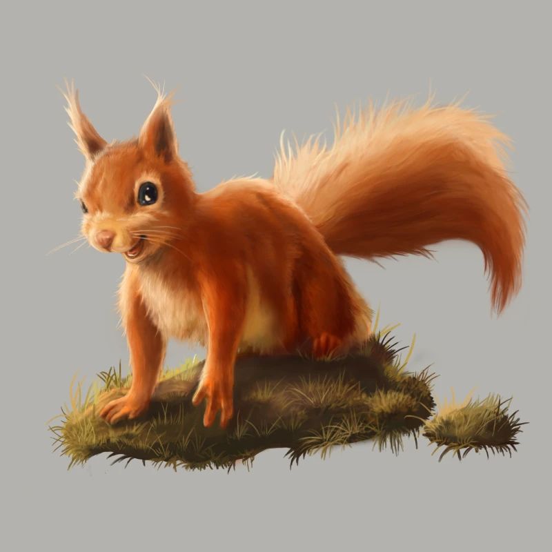 Kleines Eichhörnchen