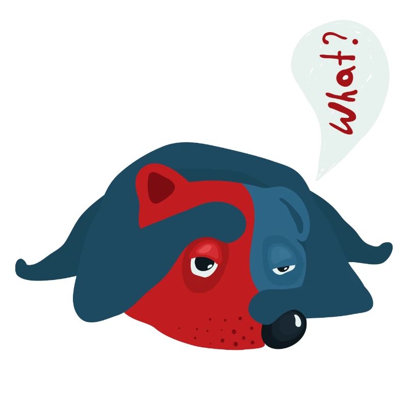 Hund
