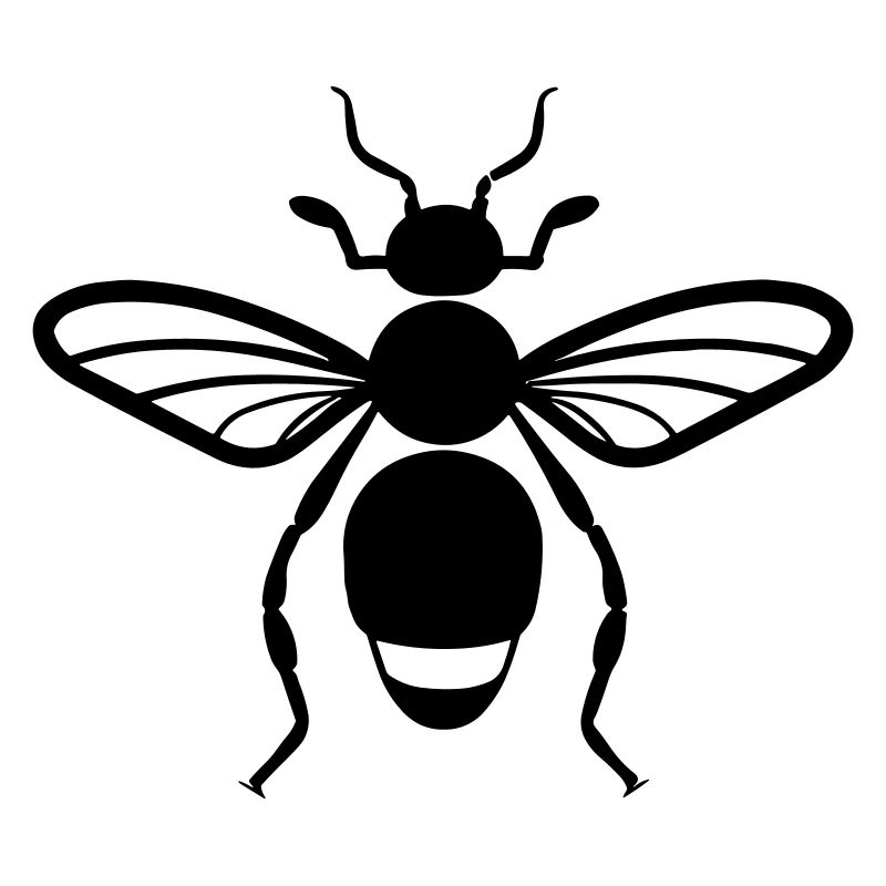 Insecte puce