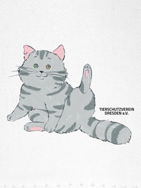 🐾 Grau getigerte Katze🐱
