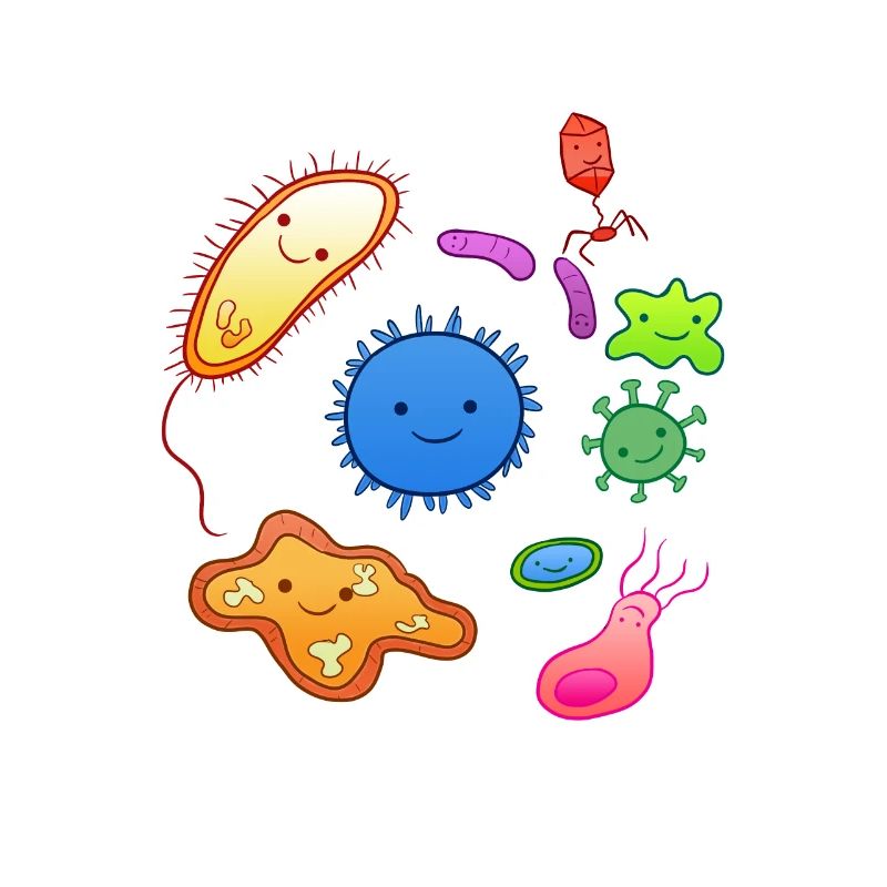 Microbacteria