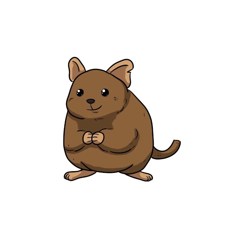 Degu