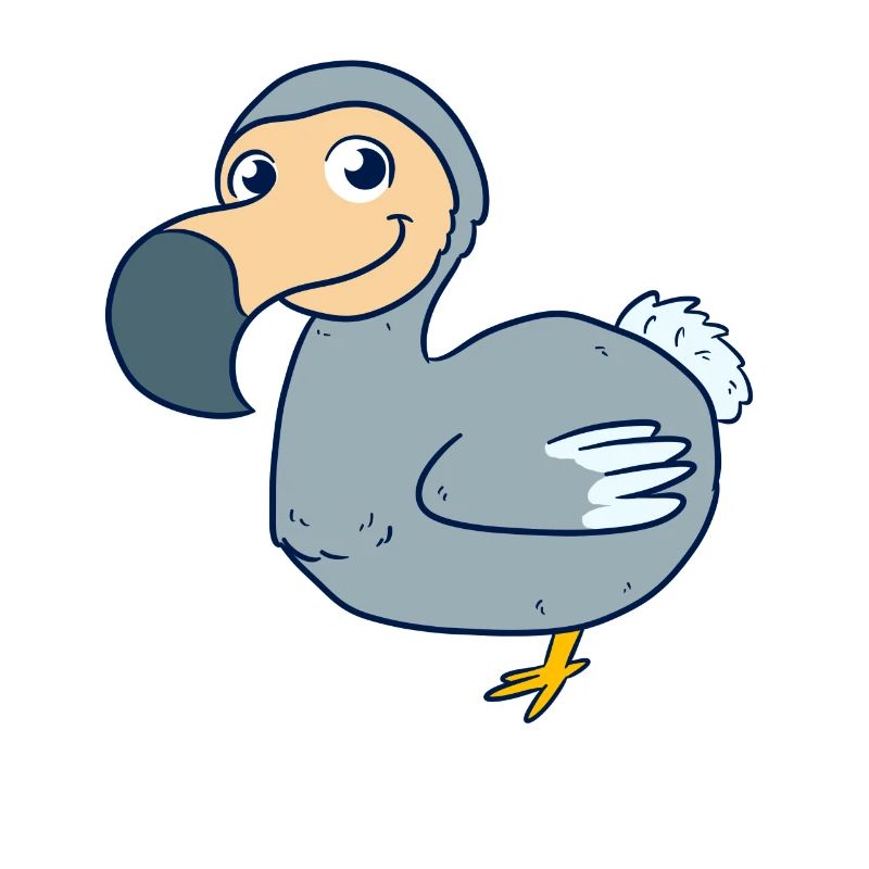 Dodo Dudu