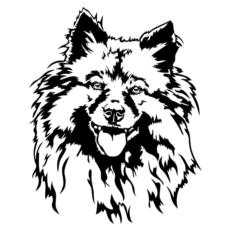 Wolfsspitz Keeshond Hundeportrait Hunde Wilsigns