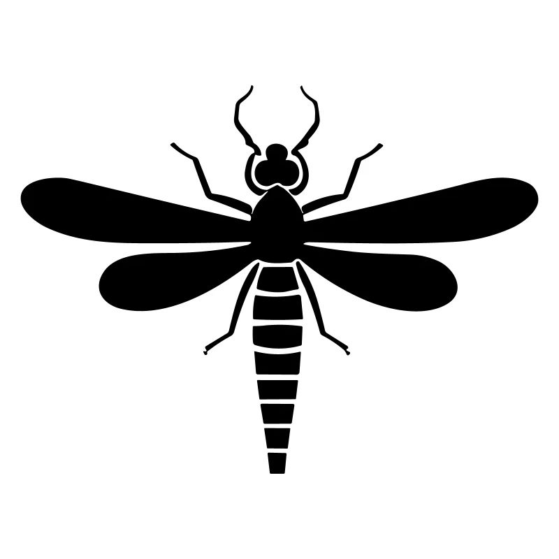 Libellule