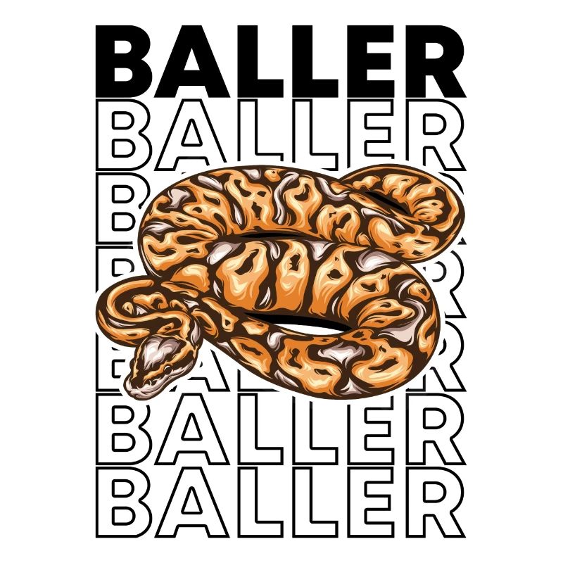 Ball Python 80's Style Baller Royal Python Snake