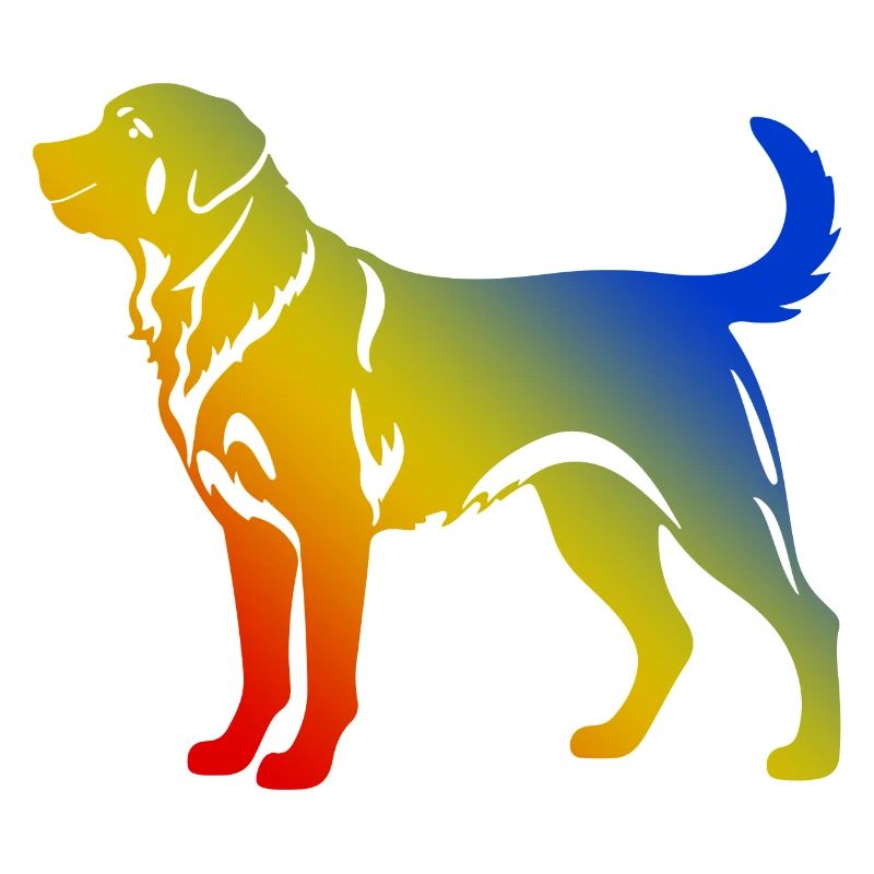 Kangal Hund