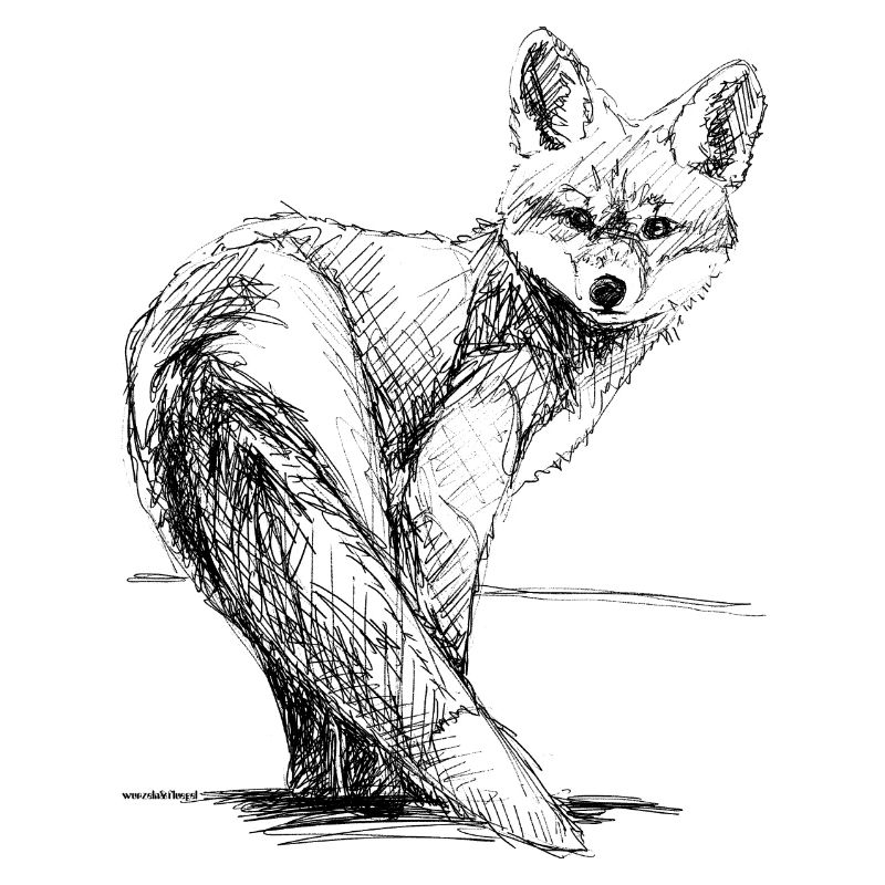 Fuchs