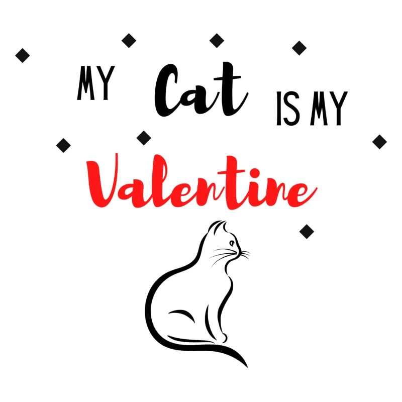 Katze