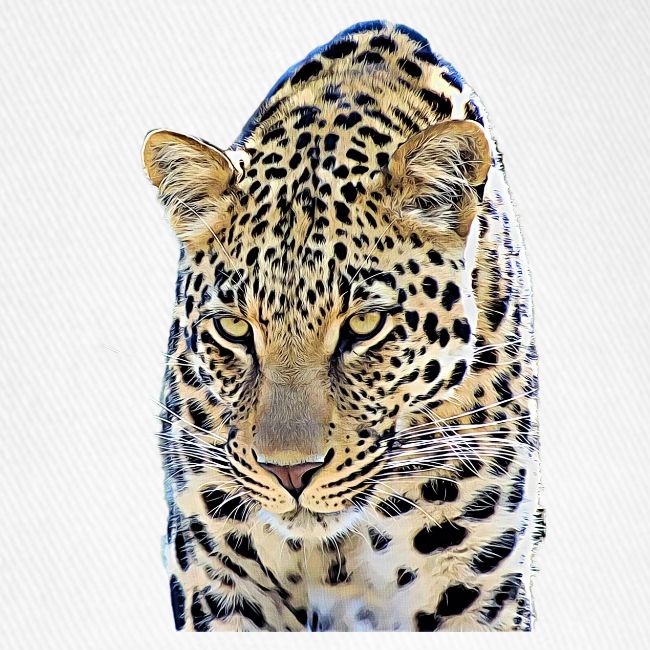 leopard