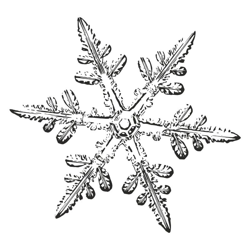 snowflake 8 black