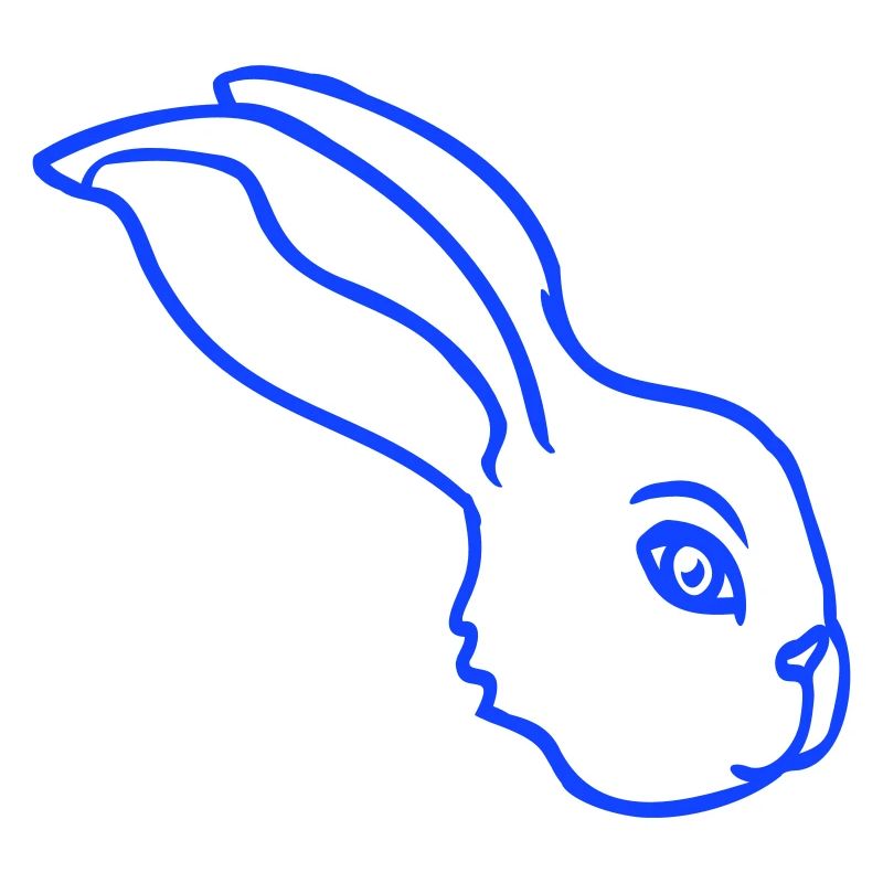 Bunny face peeking sideways profile side view