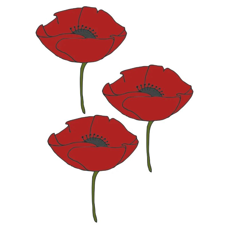 mohnblumen