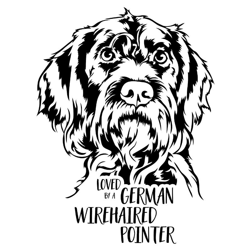 Loved by a German Wirehaired Pointer Wilsigns