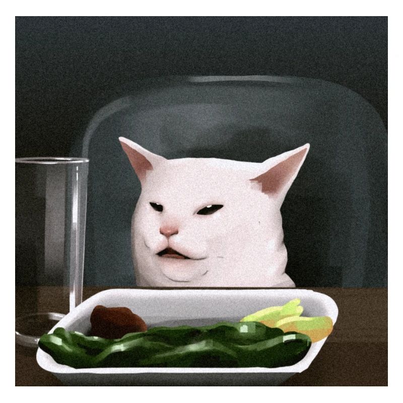 same cat