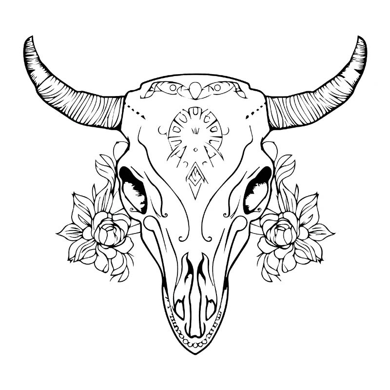 Crâne de vache Boho