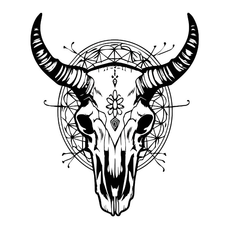 Crâne de vache Boho