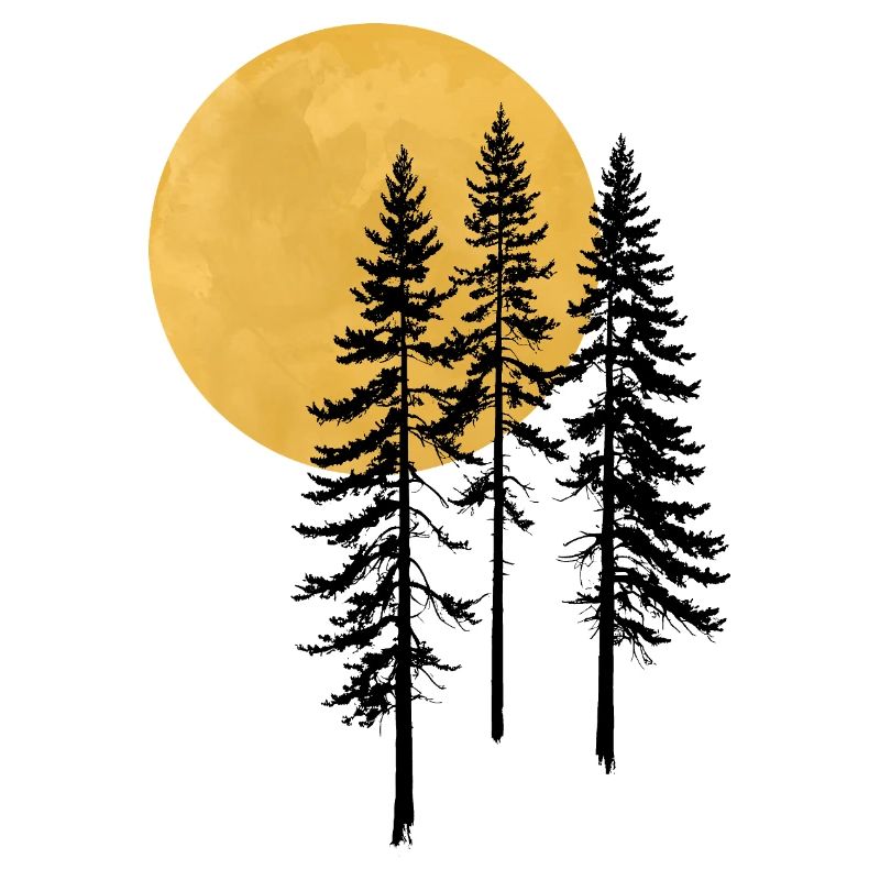 Sunset Pine Silhouette