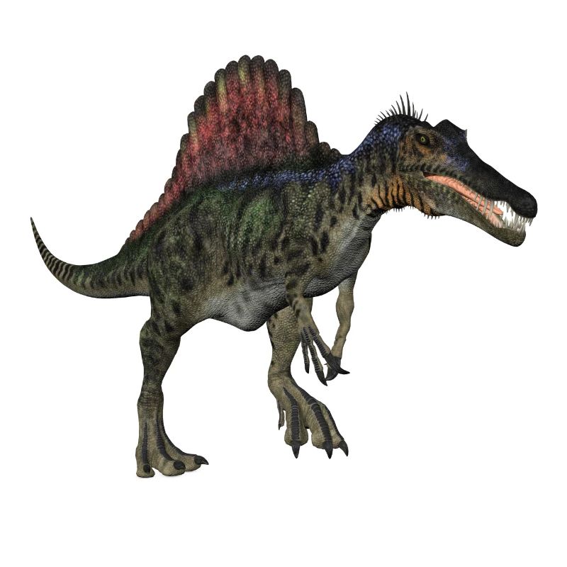 spinosaurus1