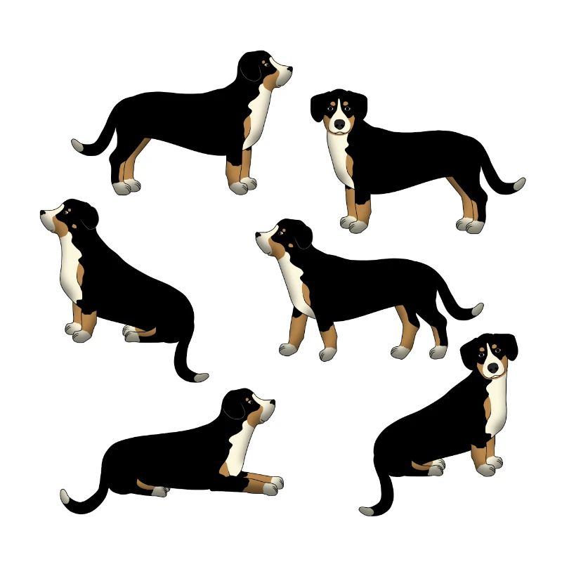 Entlebucher Auswahl