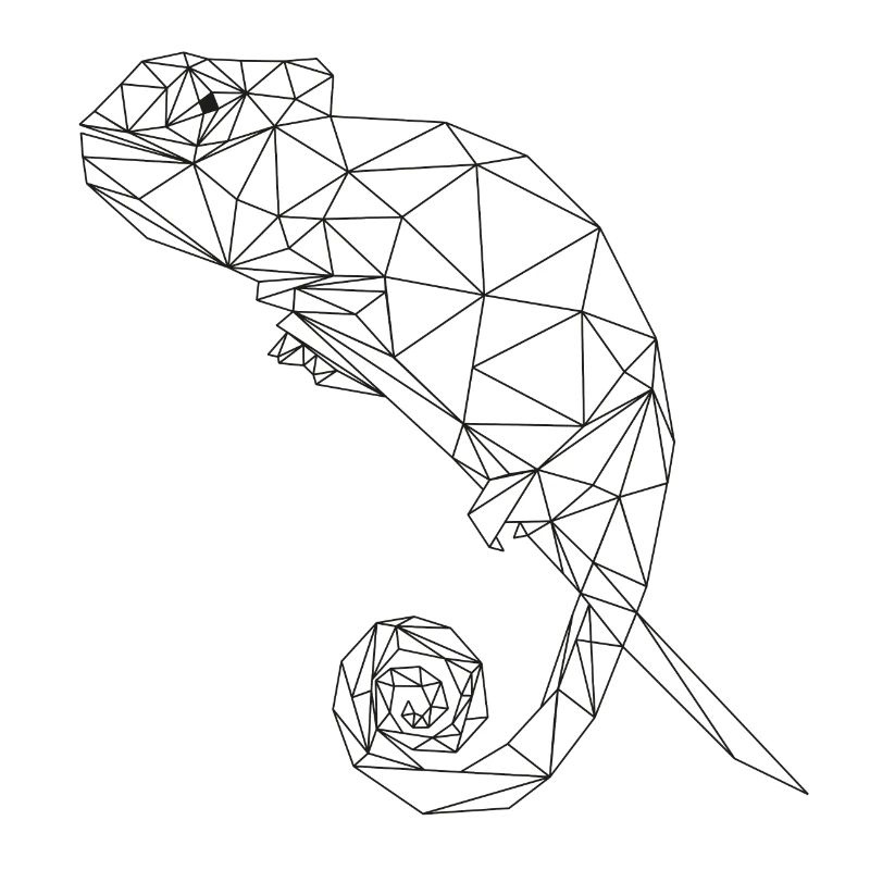 Chamäleon Chamaeleon Cham