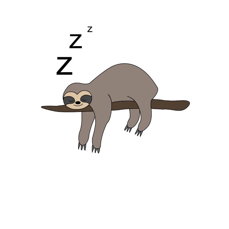 Sloth sleeping