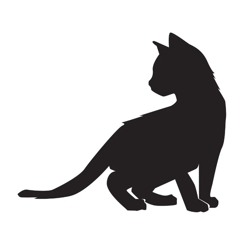 Conception de chaton