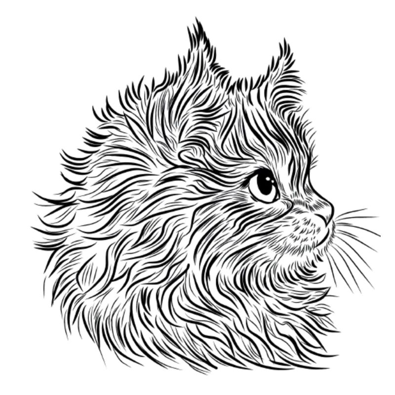 Lineart de chat