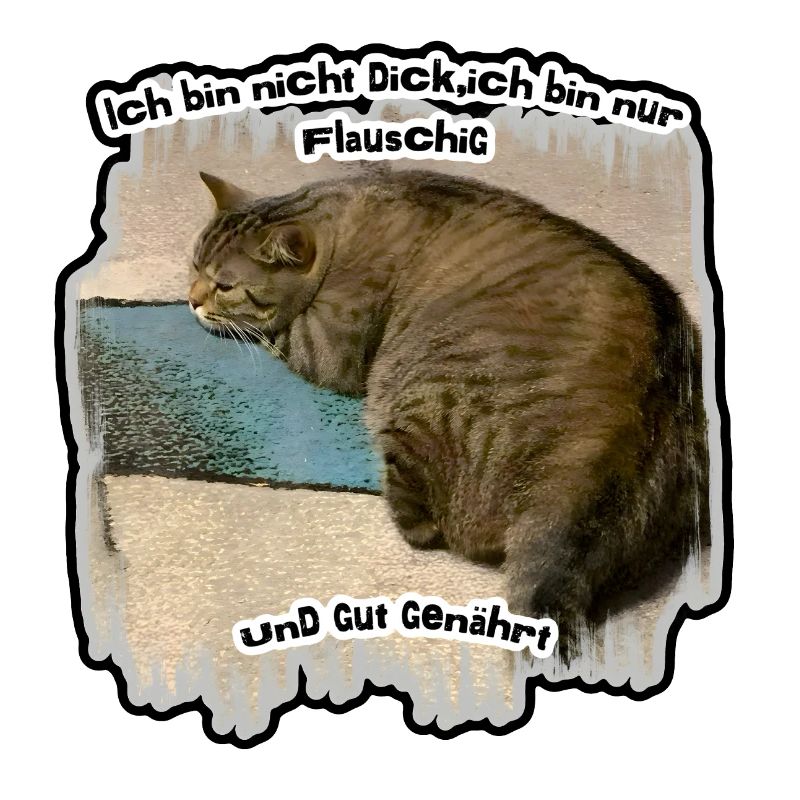 Dicke Katze