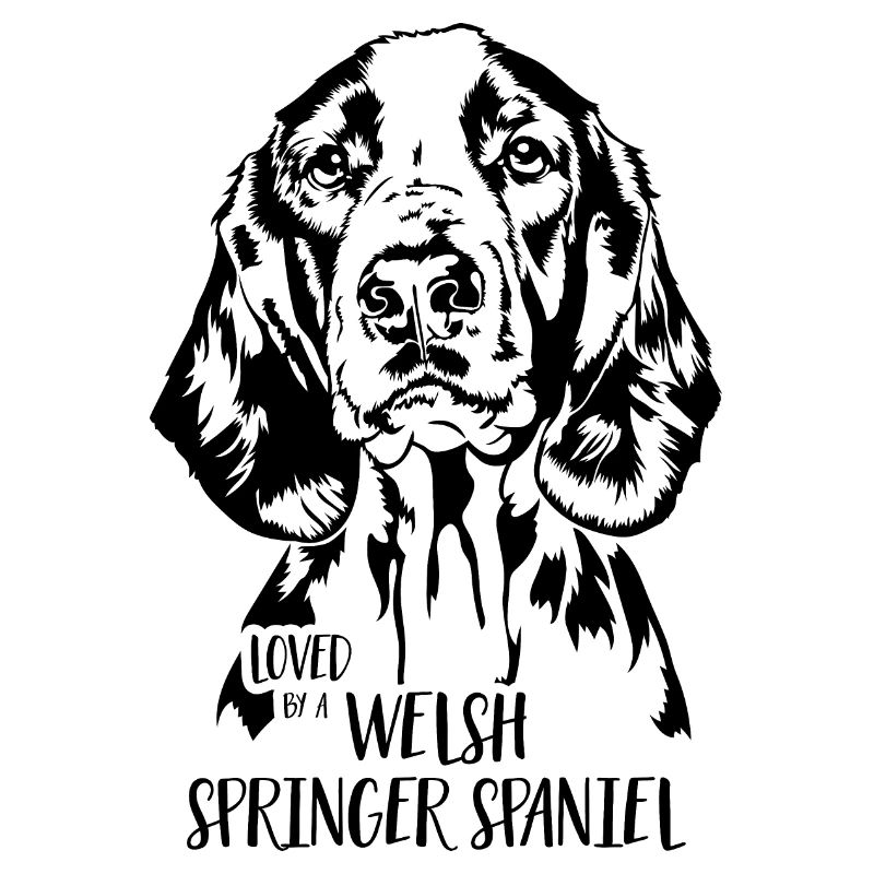 Loved by a Welsh Springer Spaniel Dog Wilsigns