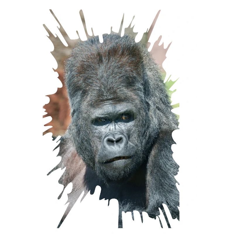 Auffällige Pose von Silverback Gorilla Dishi