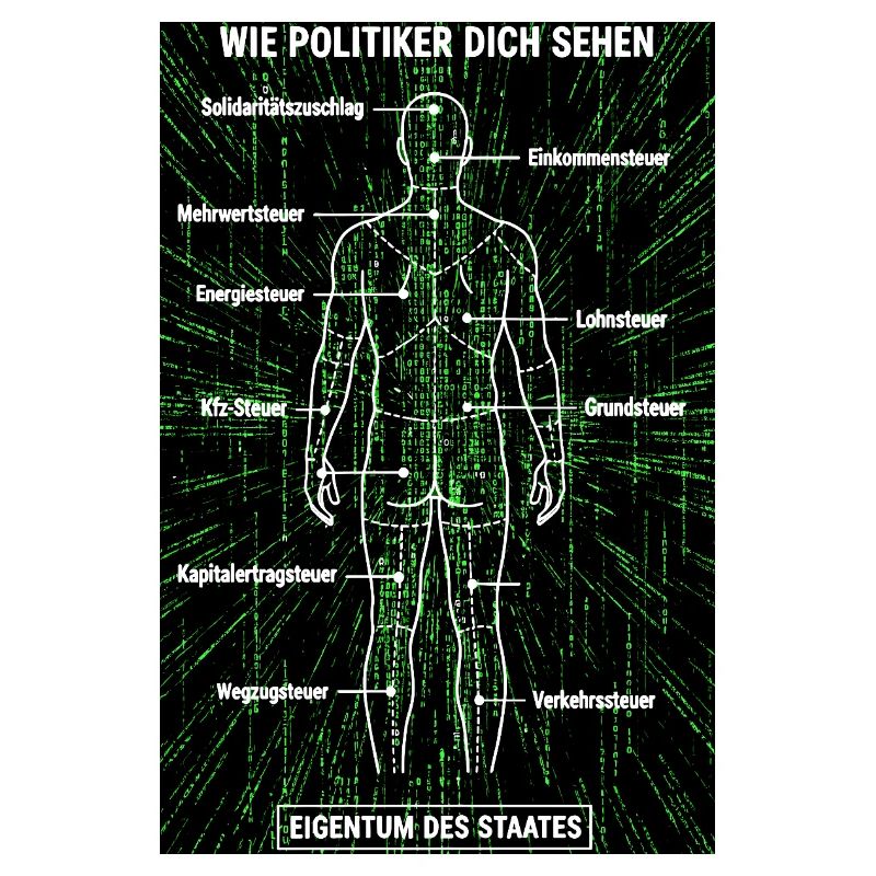 Matrix Zerlegeplan - Steuerzahler Poster 